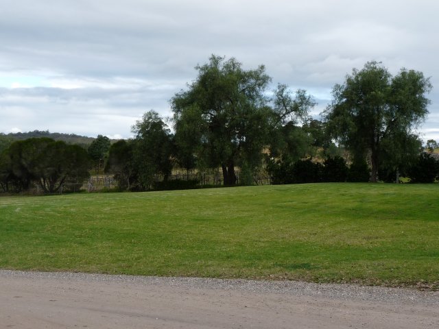 View from hill over vineyards, Belgenny Farm, Camden 